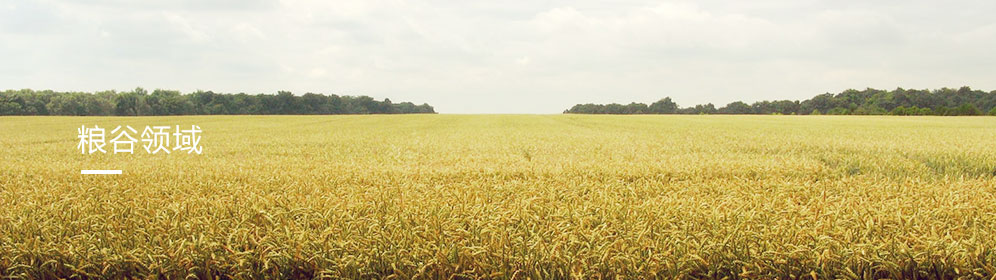 糧谷領(ling)域